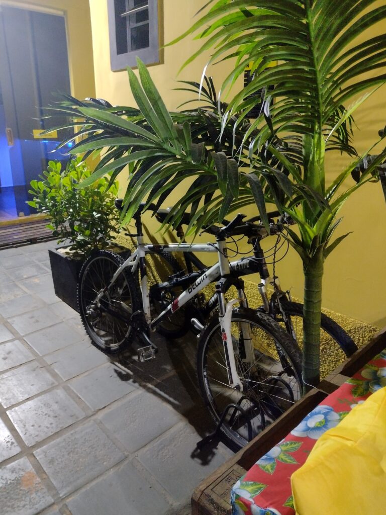 IMG 20230728 195146446